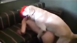 DOG FUCK - SexOverdose