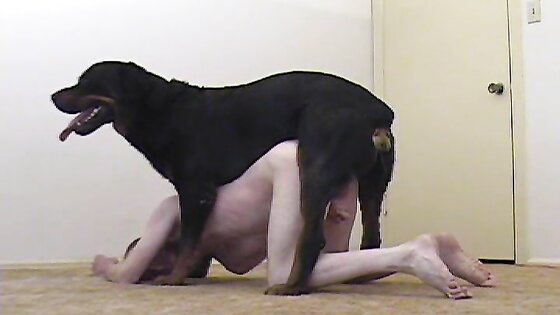 Man Fucked By A Big Dog