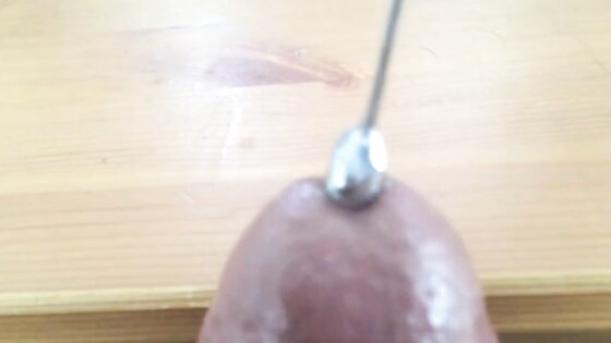 Sounding and cumming through penis plug