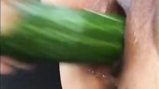 Mom's Valentina cucumber solo in the yard