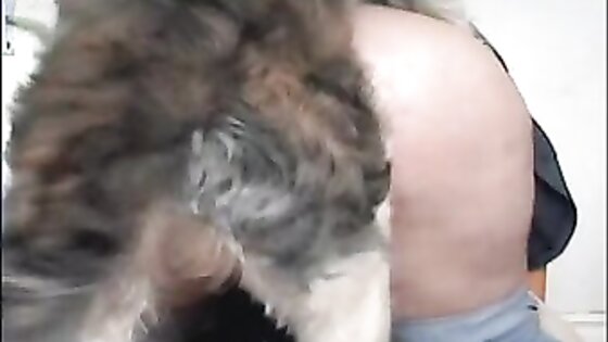 Dog Fucks Chubby Whore