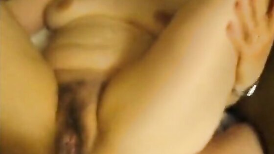 afc1700 anal
