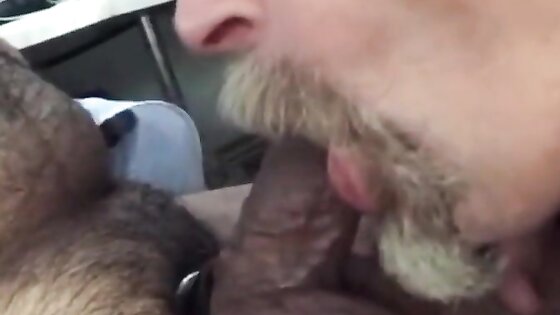 Lorry driver suck my cock