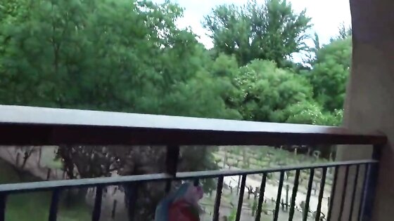 Sexy girl suck cock passionately on the balcony
