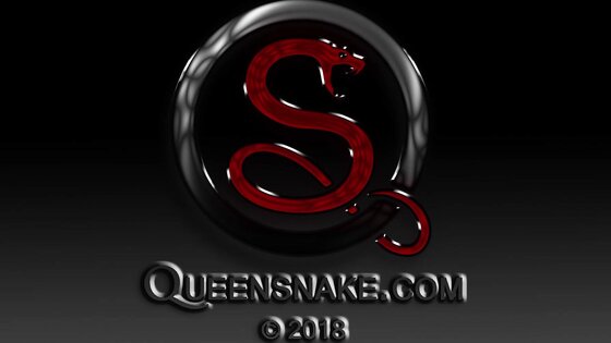 Queensnake- Jeby T Brush Machine