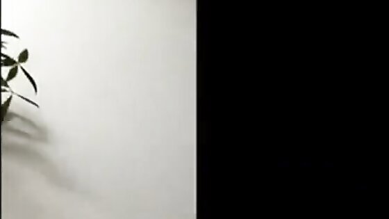 Flashing cock to office cleaning maid 1