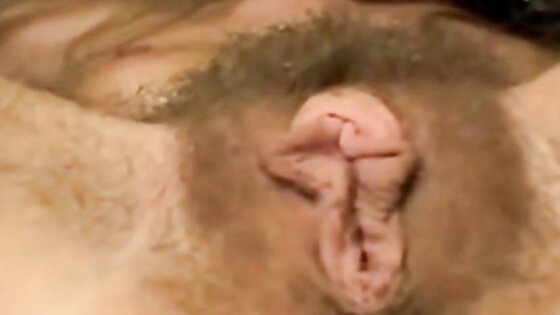 Hairy Pussy with big lips and clit