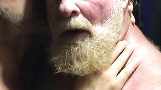 Hairy bears passionate kissing