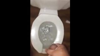 girl gets cocks cuck cum in toilet