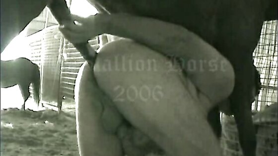 Horse Deep Fucks Gay