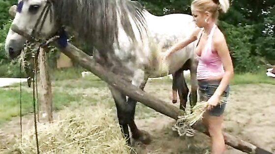 My Best Horse
