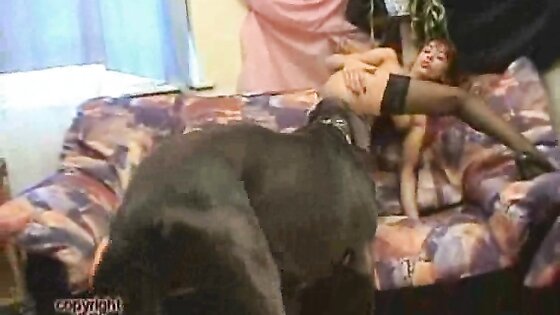 Fisting Girls and Doggie Cum