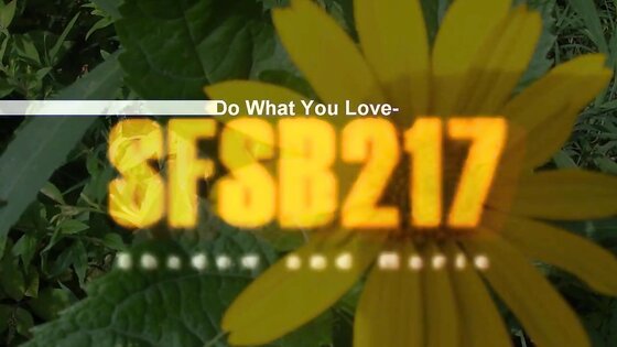 Hairy Whore Enjoys Big Cock Anal