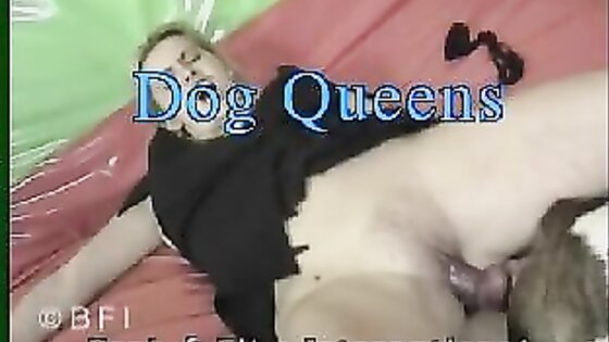 Dog Queens