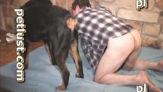 Big Black Dog Fucks Gay Asshole