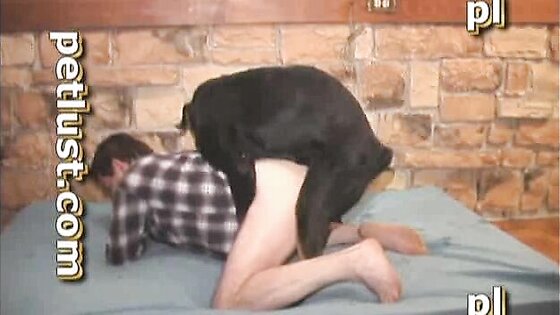 Big Black Dog Fucks Gay Asshole