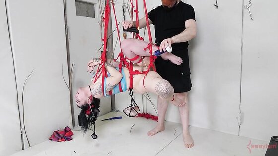 Sub Girl BDSM Ass Fucking