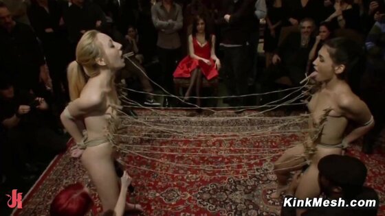 Princess Donna Birthday Bash With James