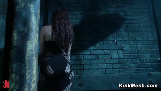 Anal Queens Back Alley Action