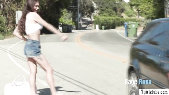 TS Victoria Grant fucks a stranger from the road 2