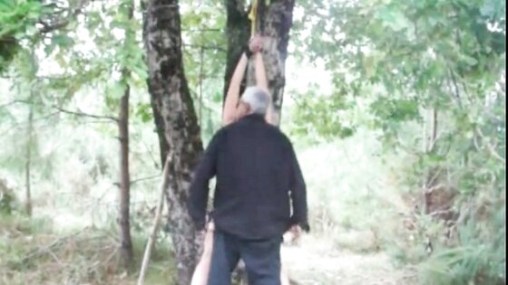 Tied up to a tree, lashed and penetrated