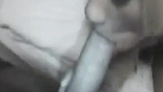 amateur anal ass to mouth w cum in mouth