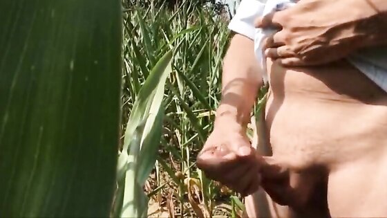 Summer, Sun, Corn & Wanking & Piss