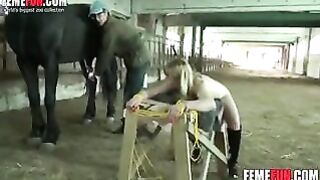 Horse Fucks Tied Blonde