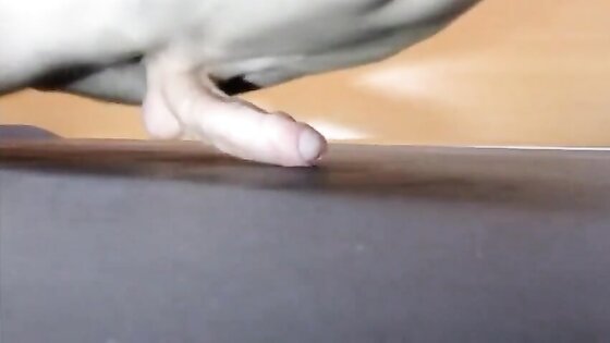 Pushups humping cum closeup