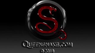 Queen Snake -Pinned Down