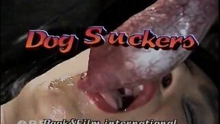 Dog Suckers