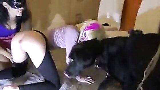 Black Dog Fucks Two Lesbians
