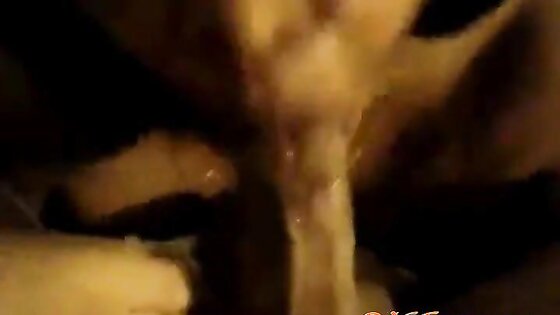 amateur pakistani blowjob
