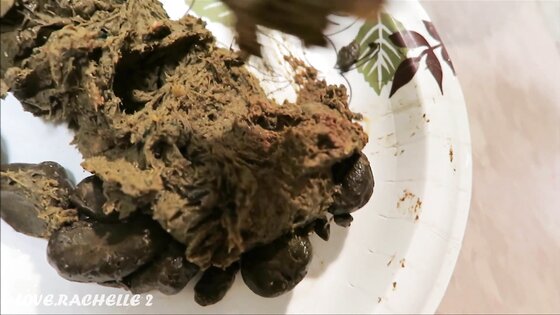 Playing With Your Food - BizarroPornos.Com