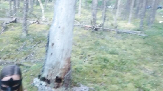 Unity With Nature